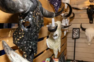 Made in Tarrant: Good Bones bare-boned art makes a Texas-sized statement