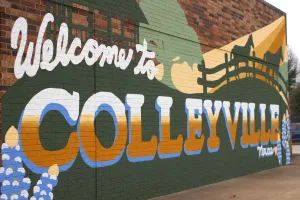 Colleyville offers public funding options for tree replacement