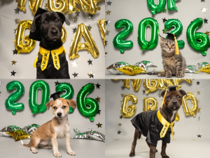 Fur Friday: Caps, gowns and new beginnings for fur friends ready to walk — home