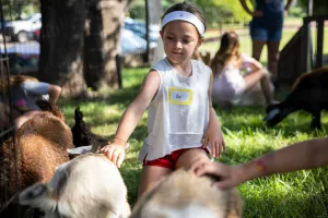 Made in Tarrant: Look at all those chickens — and pet them — with Dubb Palz petting zoo