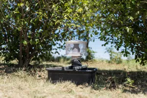 Mosquito trap sample tests positive for West Nile in Arlington