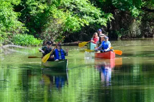 Volunteers kept 63K pounds of trash from flowing into Gulf. How did Fort Worth help?