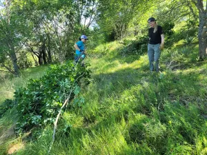 Volunteers let the sunshine in to preserve plant growth of Fort Worth park’s prairieland