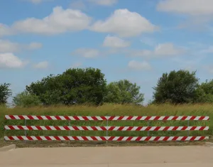 City Plan Commission approves plat revisions in south Fort Worth’s Orchard Village