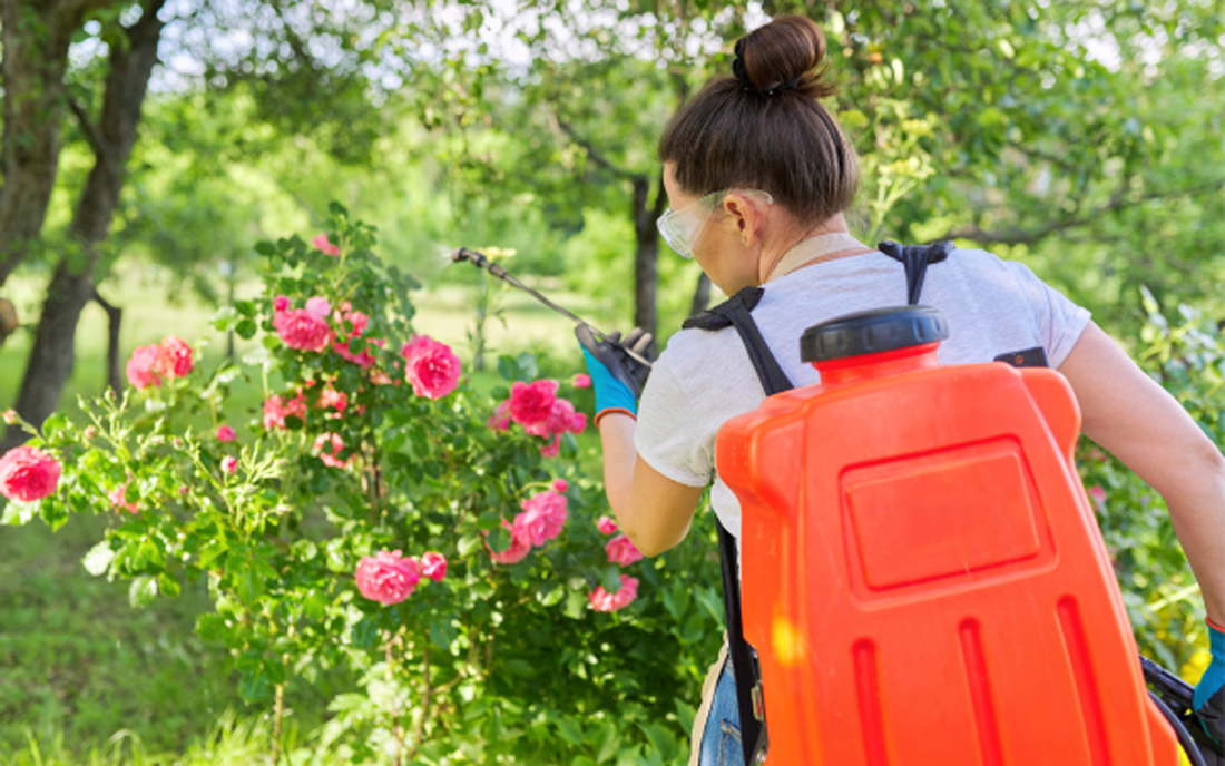 Tips to Clean and Maintain a Battery-Powered Backpack Sprayer?