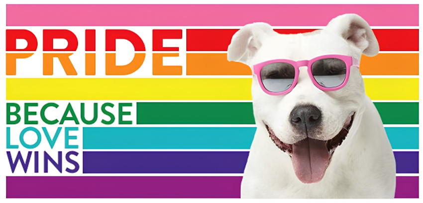 Night & Day: Saturday Night Pride